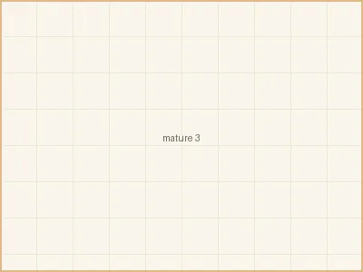 换妻 - 一个人的咖啡时光 - 享受独处的美好